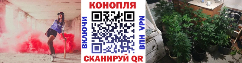 Купить где  Уфа  Конопля семена 